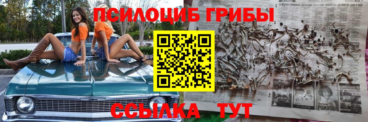 Псилоцибиновые грибы ЛСД  Псилоцибиновые грибы MAGIC MUSHROOMS  Усть-Джегута  закладка  Вход с VPN 